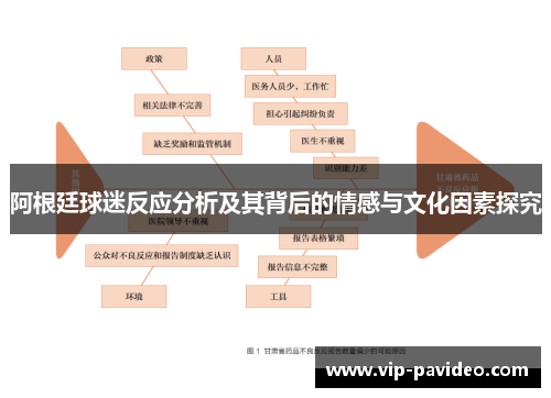 阿根廷球迷反应分析及其背后的情感与文化因素探究