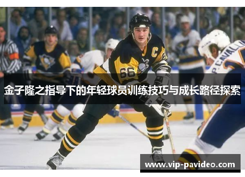 金子隆之指导下的年轻球员训练技巧与成长路径探索