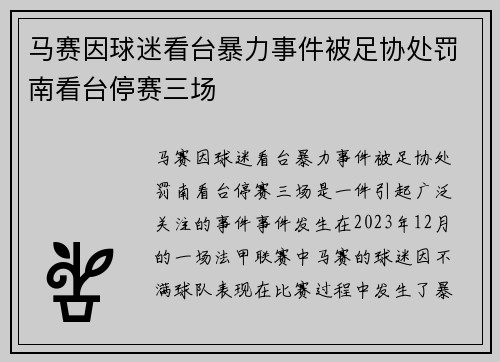 马赛因球迷看台暴力事件被足协处罚南看台停赛三场