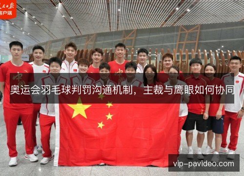 奥运会羽毛球判罚沟通机制，主裁与鹰眼如何协同